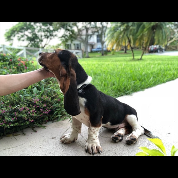 Meet your Posher, Naomi Gee - Picture 7 of 8